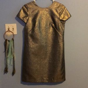 Madewell Party Dress